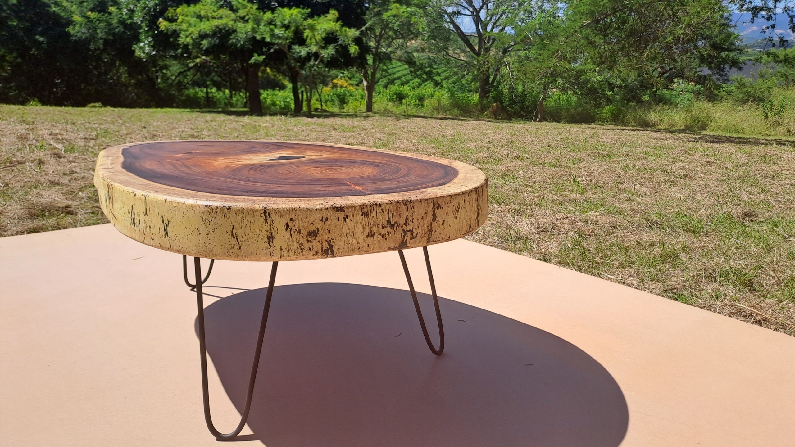 Sand Kiaat Disc Coffee Table Live Edge Creator Creations Furniture